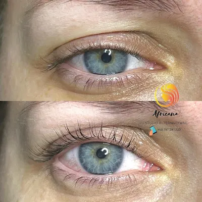 Africana Studio Alternatywne